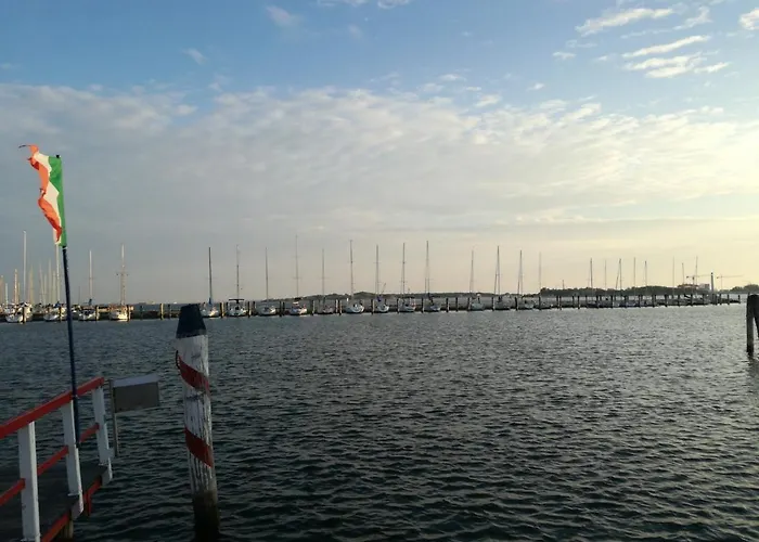 Verrazzano Sottomarina